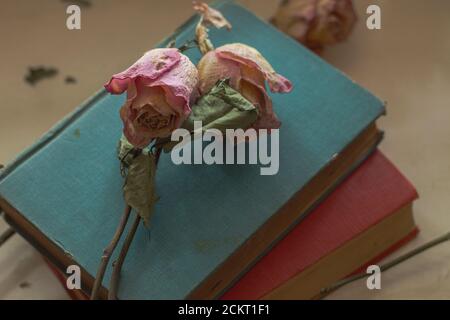 Getrocknete Rosen auf der Oberseite und um einen Stapel von Jahrgang Bücher auf der Fensterbank Stockfoto