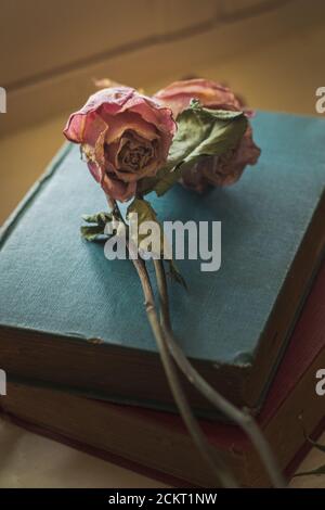 Getrocknete Rosen auf der Oberseite und um einen Stapel von Jahrgang Bücher auf der Fensterbank Stockfoto