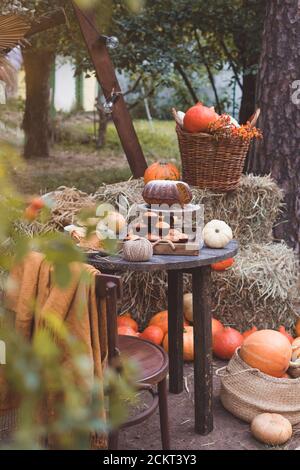 Saisonale Tischeinstellung mit Kürbiskuchen und Muffins, getönt Stockfoto