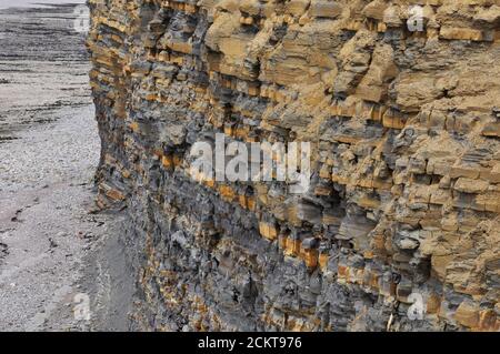 Die Klippen von Kilve sind im frühen Jura alt. Die Schichten enthalten Schichten von Kalkstein und Schiefer aus der Lower Lias Periode.Kilve ist auf der Severn Estura Stockfoto