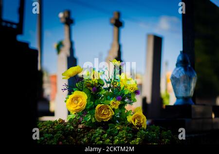 Dekoration der gelben Rosenblüten, die während des Grabes auf dem Grab liegen Allerheiligen Stockfoto