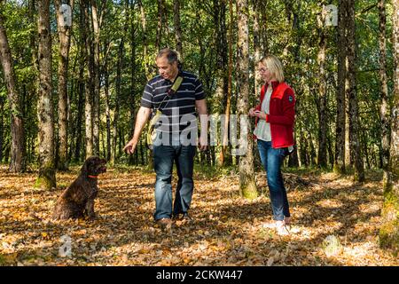 Hund hilft bei der Ernte von schwarzen Trüffeln in Burgund, Frankreich. Elfe wartet aufmerksam auf weitere Suchbefehle, während Thierry Bezieux von den Fragen der Journalistin Angela Berg abgelenkt wird. Thierry ist jetzt eine bekannte Menge in Burgund. Da er das Wachstum und die Suche nach Trüffeln so anschaulich illustrieren konnte, führt er jährlich rund 3,000 Touristen durch sein „Haus der tausend Trüffel“ Stockfoto