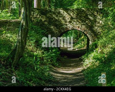 Kleine, einbögige Stein- und Ziegelbrücke über alte Gleiswege im Waldschnitt, Tichnall Limeyards, Derbyshire, England, UK. Stockfoto