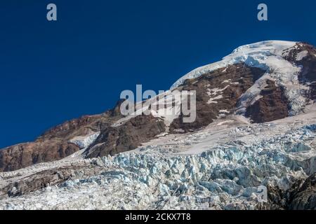 Der dramatische Coleman Glacier, der vom Mount Baker mit Eisfällen und Gletscherspalten herunterrutscht, wird vom Heliotrope Ridge Trail, Mount Baker-Snoqualmie Nation, aus gesehen Stockfoto