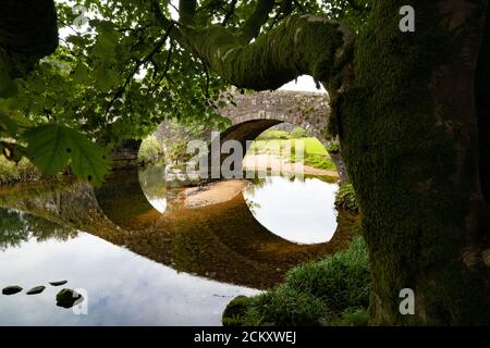 Eine Steinbogenbrücke über den West Dart River im Two Bridges Hotel, Dartmoor, Devon, Großbritannien Stockfoto