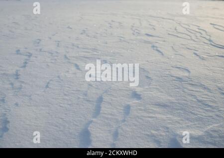 Schöner Hintergrund aus Schnee glänzte mit der Sonne Stockfoto