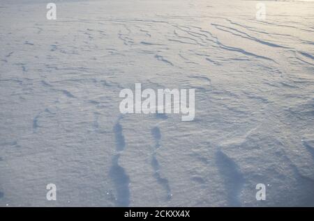 Schöner Hintergrund aus Schnee glänzte mit der Sonne Stockfoto