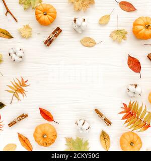 Rahmen aus trockenen Herbstblättern, Kürbissen und Baumwolle. Flach liegend fallen. Draufsicht. Minimalkonzept Herbst Stockfoto