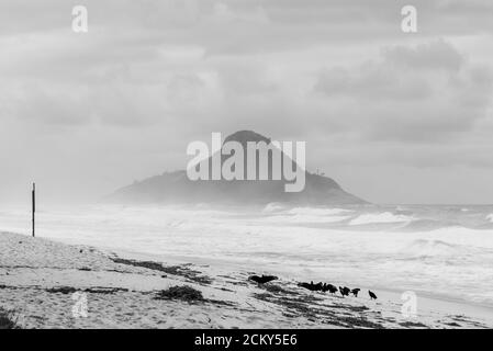 Schwarz-Weiß-Foto eines nebligen Tages auf dem Strand in Brasilien Stockfoto