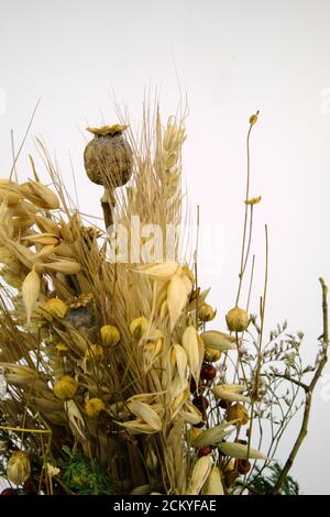 Bouquet von geernteten trockenen Früchten, eine Tradition für das Erntefest in europäischen Ländern Stockfoto