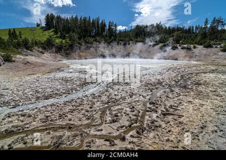 Mud Volcano Area, Yellowstone-Nationalpark Stockfoto