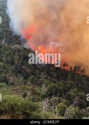 Intensive Flammen erklimmen einen Grat in der Nähe der South Coast Ridge Road im Dolan Fire im Los Padres National Forest 10. September 2020 in der Nähe von Big Sur, Kalifornien. Der Brand hat über 117,000 Hektar zerstört und ist nur teilweise eingedämmt. Stockfoto