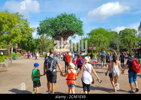 Disney World-Besucher besuchen den Baum des Lebens in Animal Kingdom, Discovery Island Area, Orlando, Florida, USA Stockfoto