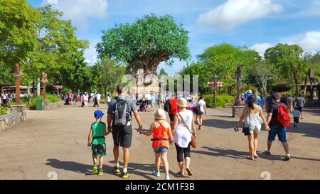 Disney World-Besucher besuchen den Baum des Lebens in Animal Kingdom, Discovery Island Area, Orlando, Florida, USA Stockfoto