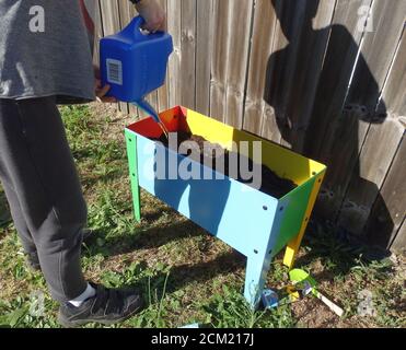 Ein Kind wässert eine neue Pflanzbox nach dem Pflanzen von Samen. Stockfoto