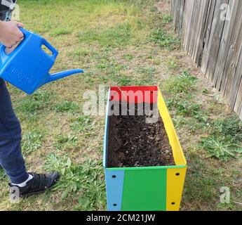 Ein Kind wässert eine neue Pflanzbox nach dem Pflanzen von Samen. Stockfoto