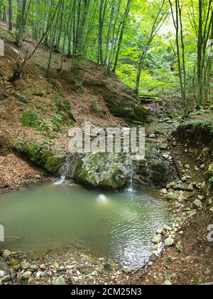 Cheile Borzesti Schluchten natürlichen Flussgebiet. Wasserfall auf kleinen Fluss in dichten Wald in Cluj County, Siebenbürgen, Rumänien. Cheile Borzesti Schluchten waten Stockfoto