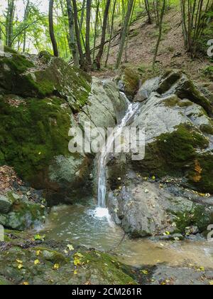 Cheile Borzesti Schluchten natürlichen Flussgebiet. Wasserfall auf kleinen Fluss in dichten Wald in Cluj County, Siebenbürgen, Rumänien. Wasserfallbach in Cheile Stockfoto