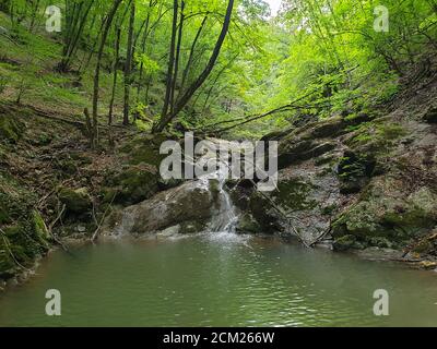 Cheile Borzesti Schluchten natürlichen Flussgebiet. Wasserfall auf kleinen Fluss in dichten Wald in Cluj County, Siebenbürgen, Rumänien. Cheile Borzesti Wasserfall A Stockfoto
