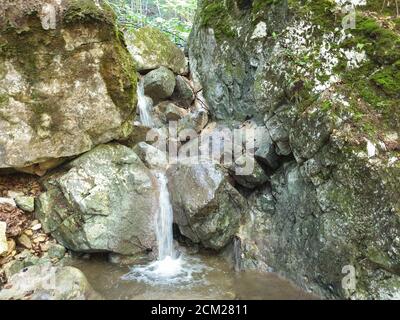 Cheile Plaiului Schluchten natürlichen Flussgebiet. Wasserfall auf kleinen Fluss in dichten Wald in Cluj County, Siebenbürgen, Rumänien. Frisches Wasser und Felsen in TR Stockfoto