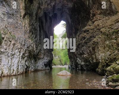 Cheile Rametului Schluchten wilden Naturpark Flussgebiet. Wasserfall auf kleinen Fluss in dichten Wald in Alba County, Siebenbürgen, Rumänien. Cheile Rametului Stockfoto