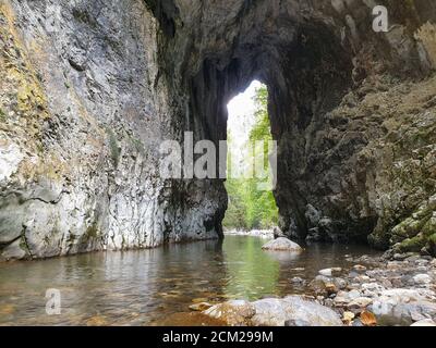 Cheile Rametului Schluchten wilden Naturpark Flussgebiet. Wasserfall auf kleinen Fluss in dichten Wald in Alba County, Siebenbürgen, Rumänien. Cheile Rametului Stockfoto