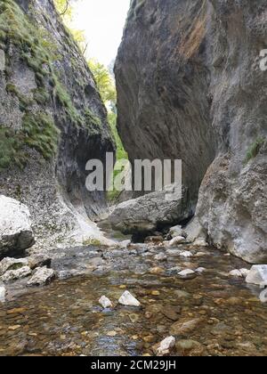 Cheile Rametului Schluchten wilden Naturpark Flussgebiet. Wasserfall auf kleinen Fluss in dichten Wald in Alba County, Siebenbürgen, Rumänien. Kalksteinwände Stockfoto