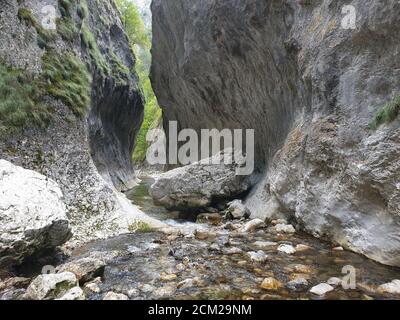 Cheile Rametului Schluchten wilden Naturpark Flussgebiet. Wasserfall auf kleinen Fluss in dichten Wald in Alba County, Siebenbürgen, Rumänien. Kalksteinwände Stockfoto
