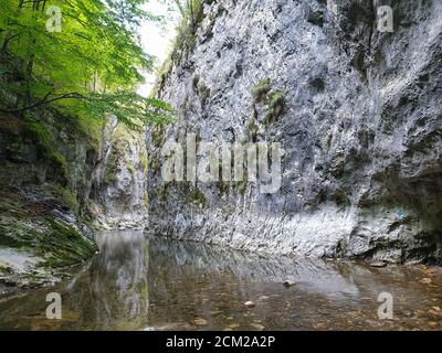 Cheile Rametului Schluchten wilden Naturpark Flussgebiet. Wasserfall auf kleinen Fluss in dichten Wald in Alba County, Siebenbürgen, Rumänien. Klares Wasser Stockfoto