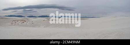 Blick auf White Sands National Park Gipssanddünen mit Vegetation. Stockfoto