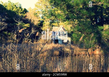 Ein heruntergekommenes kleines Haus, umgeben von Bäumen, hohem Gras und einem kleinen Gewässer. Stockfoto