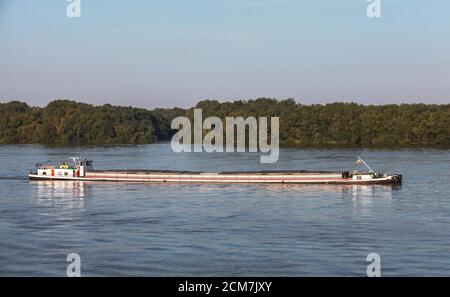 Frachtschiff fährt auf der Donau Stockfoto