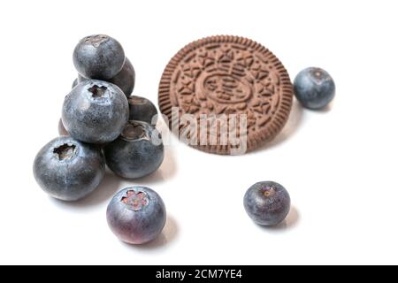 Schokoladenkekse mit Heidelbeeren, Frühstück, Bäckerei. Leckere Schokoladenkekse zum Frühstück mit Milch und Heidelbeeren. Stockfoto