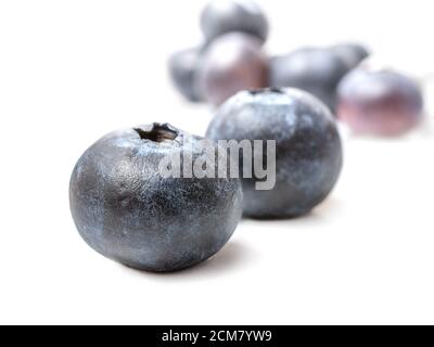 Heidelbeere isoliert. Heidelbeere auf weißem Hintergrund, Draufsicht, Blueberry Antioxidans Bio Superfood in einer Schüssel Konzept für gesunde Ernährung und Ernährung Stockfoto