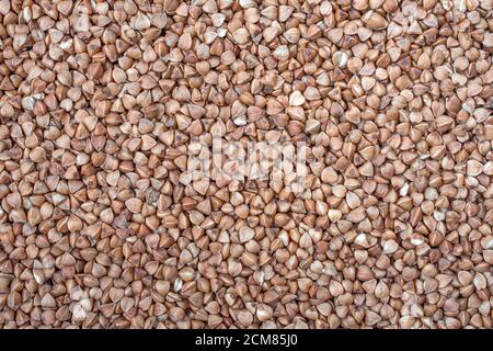 Trockene Samen Buchweizen. Gesunde Ernährung. Korn Textur Hintergrund. Buchweizen. Frischer Buchweizen. Trockener Buchweizen Hintergrund. Stockfoto