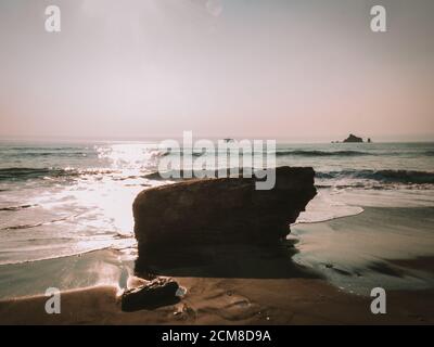 Washington State Coast - Olympic National Park Stockfoto