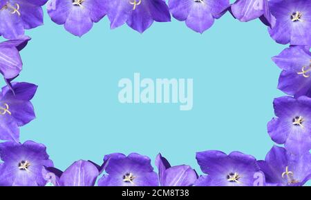 Schöner Rahmen mit Platz für Text Flieder Blumen Stockfoto
