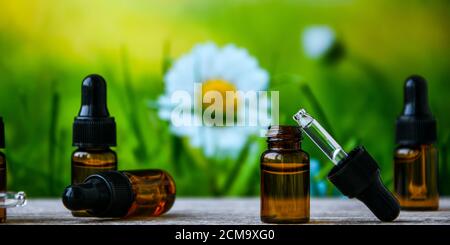 Flaschen ätherisches Öl und Kamillenblumen auf Holztisch vor verschwommenem Hintergrund. Leerzeichen für Text Stockfoto