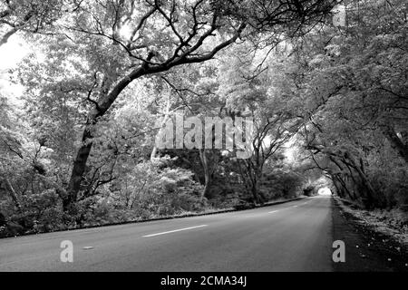 Straße auf Curacao Stockfoto