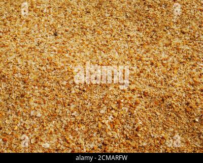 Abstrakter Hintergrund mit goldenem Sand, der eine grobe Textur und Details zeigt, funkelnde Farben, die durch die kleinen Schalen, Kristalle und Kieselsäure-Partikel entstehen Stockfoto