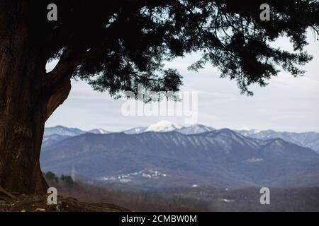 Schöne weitläufige Wald und Bergpanorama im Spätherbst oder Winter. Kalte Landschaft. Stockfoto