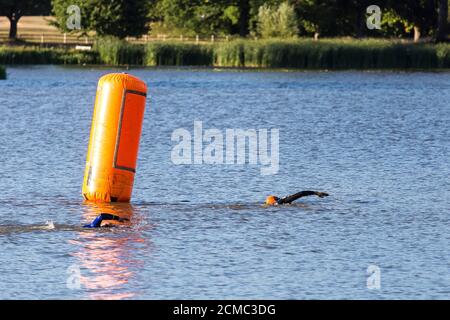 Schwimmen im Freien am Hever Castle Lake, Kent Stockfoto