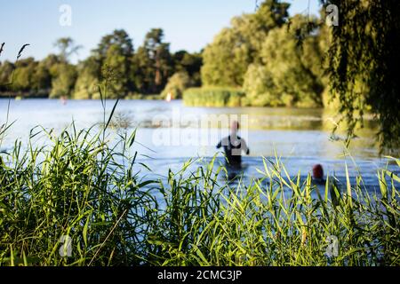 Schwimmen im Freien am Hever Castle Lake, Kent Stockfoto