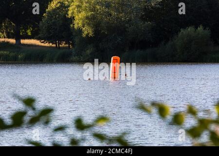 Schwimmen im Freien am Hever Castle Lake, Kent Stockfoto