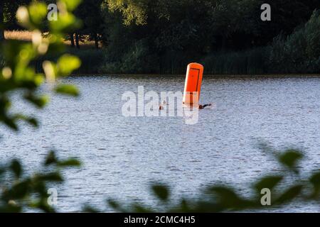 Schwimmen im Freien am Hever Castle Lake, Kent Stockfoto