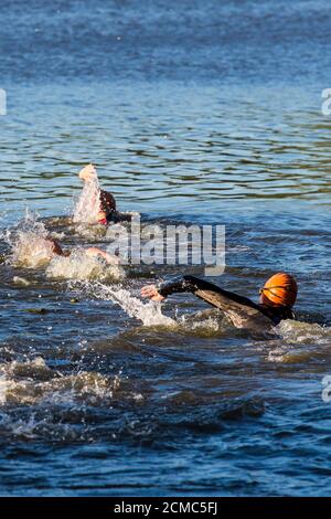 Schwimmen im Freien am Hever Castle Lake, Kent Stockfoto