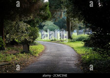 Eine schmale, kurvenreiche Straße durch den alten viktorianischen Friedhof Stockfoto