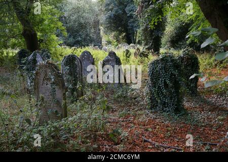 Alte Grabsteine auf einem Waldfriedhof Stockfoto