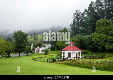 Blick auf eine kleine weiße Kirche in einem See, umgeben von üppigem Schilf und Bäumen an einem nebligen Morgen, Kapstadt, Südafrika Stockfoto