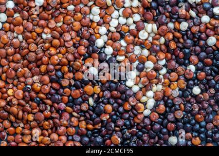 Weiße, rote und schwarze Quinoa-Samen auf dem Hintergrund, Nahaufnahme, Draufsicht Stockfoto